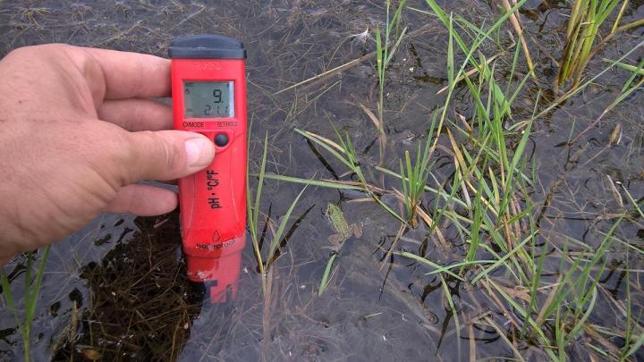 Engagement Environnement Marvejols