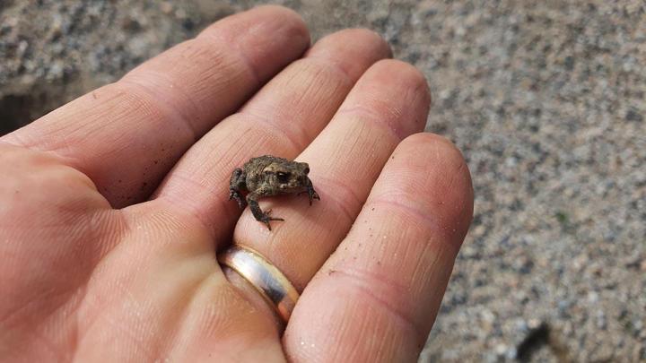 Engagement Environnement Marvejols