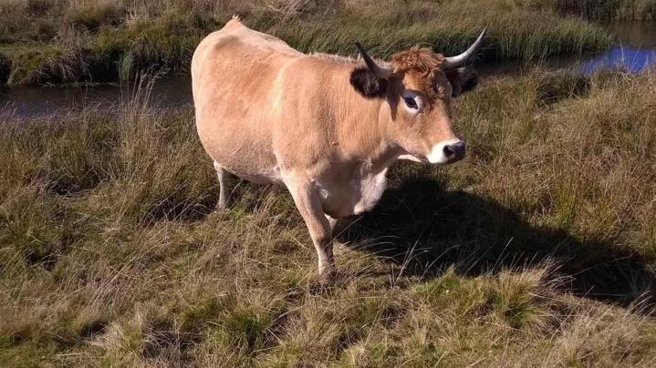 Service d'engagement environnement Marvejols