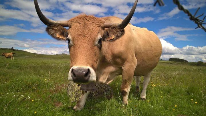 Engagement Environnement Marvejols